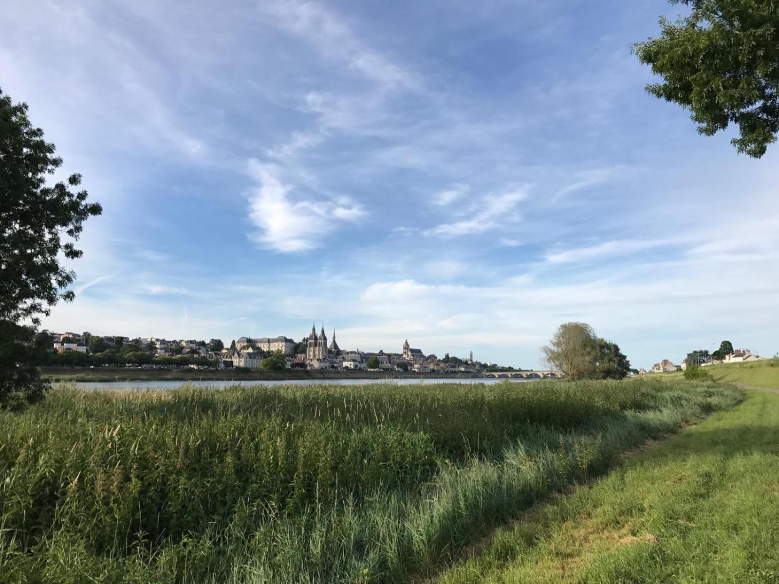 شقة Quai De La Loire بلْوا المظهر الخارجي الصورة