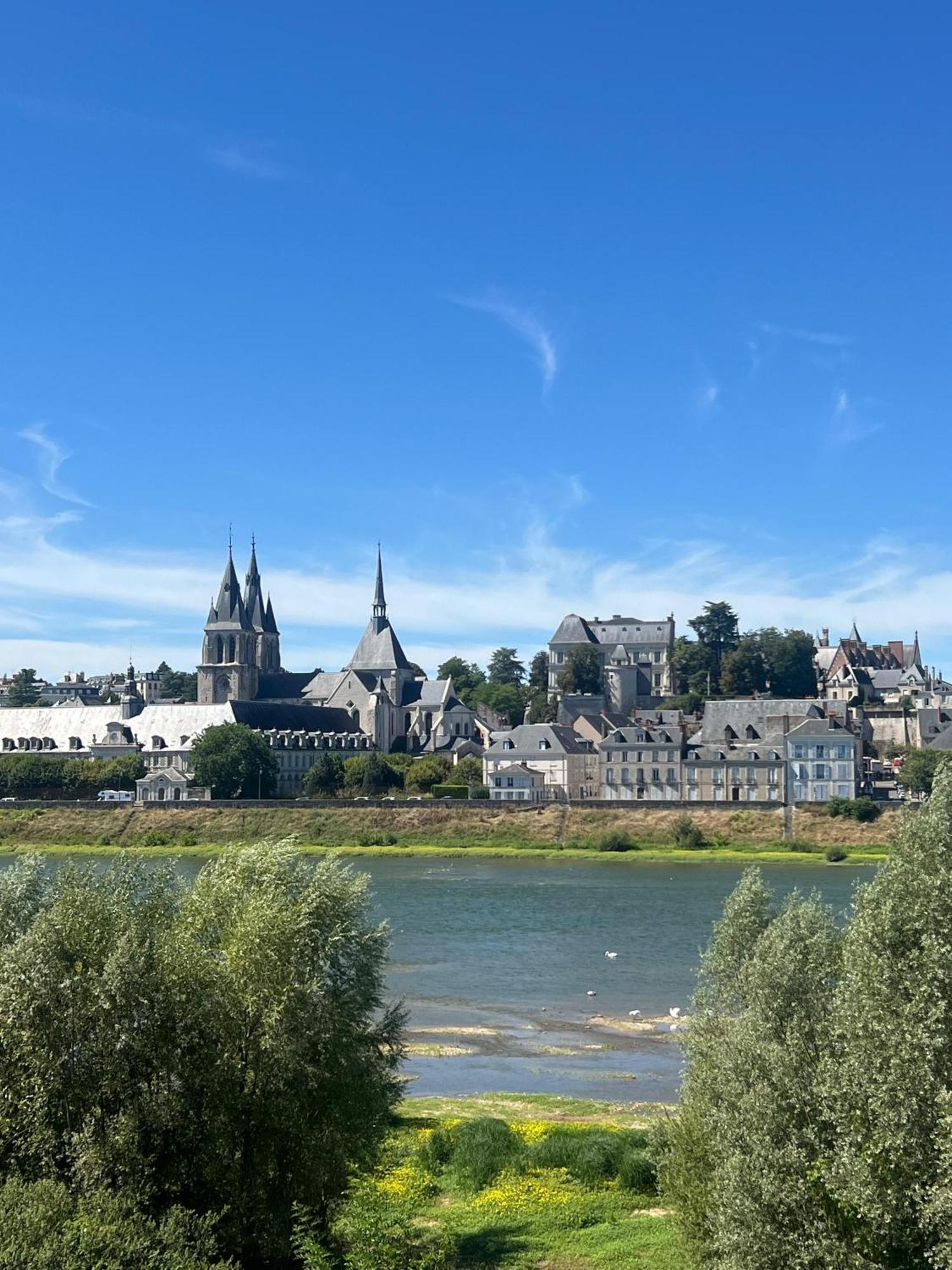 شقة Quai De La Loire بلْوا المظهر الخارجي الصورة